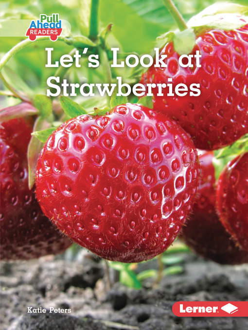 Cover image for Let's Look at Strawberries